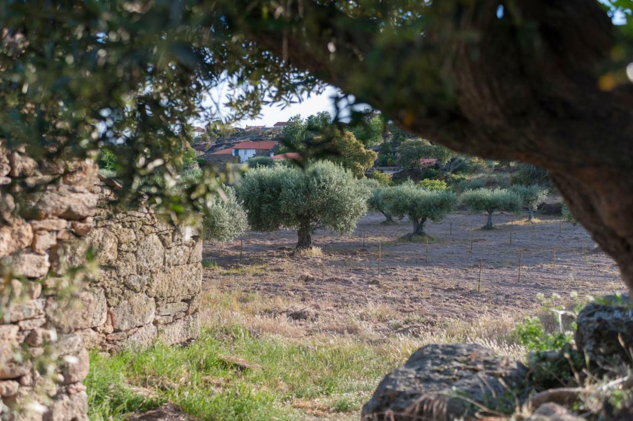Cidadelhe Rupestre Turismo Rural 외부 사진